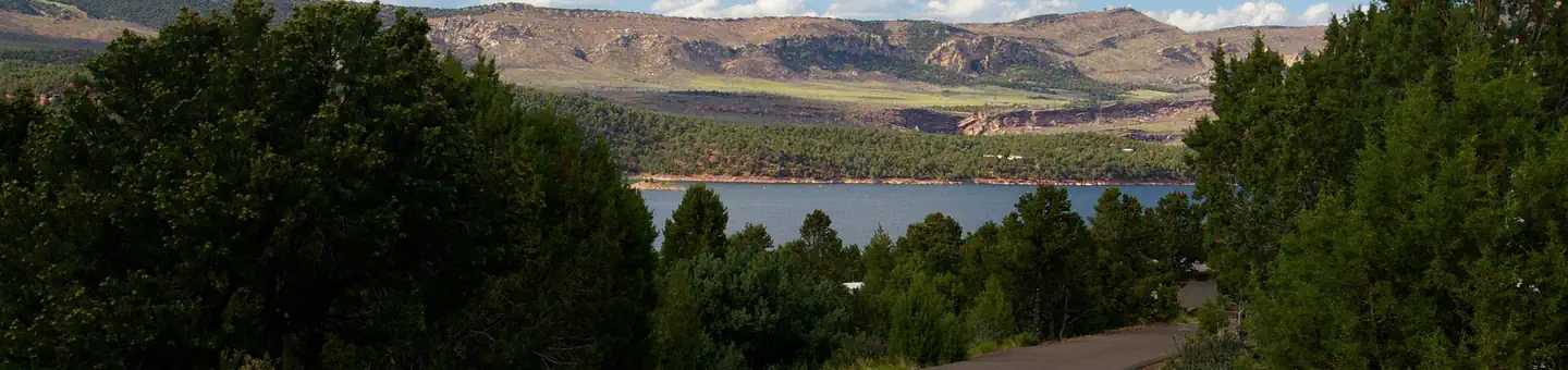 CEDAR SPRINGS CAMPGROUND photo