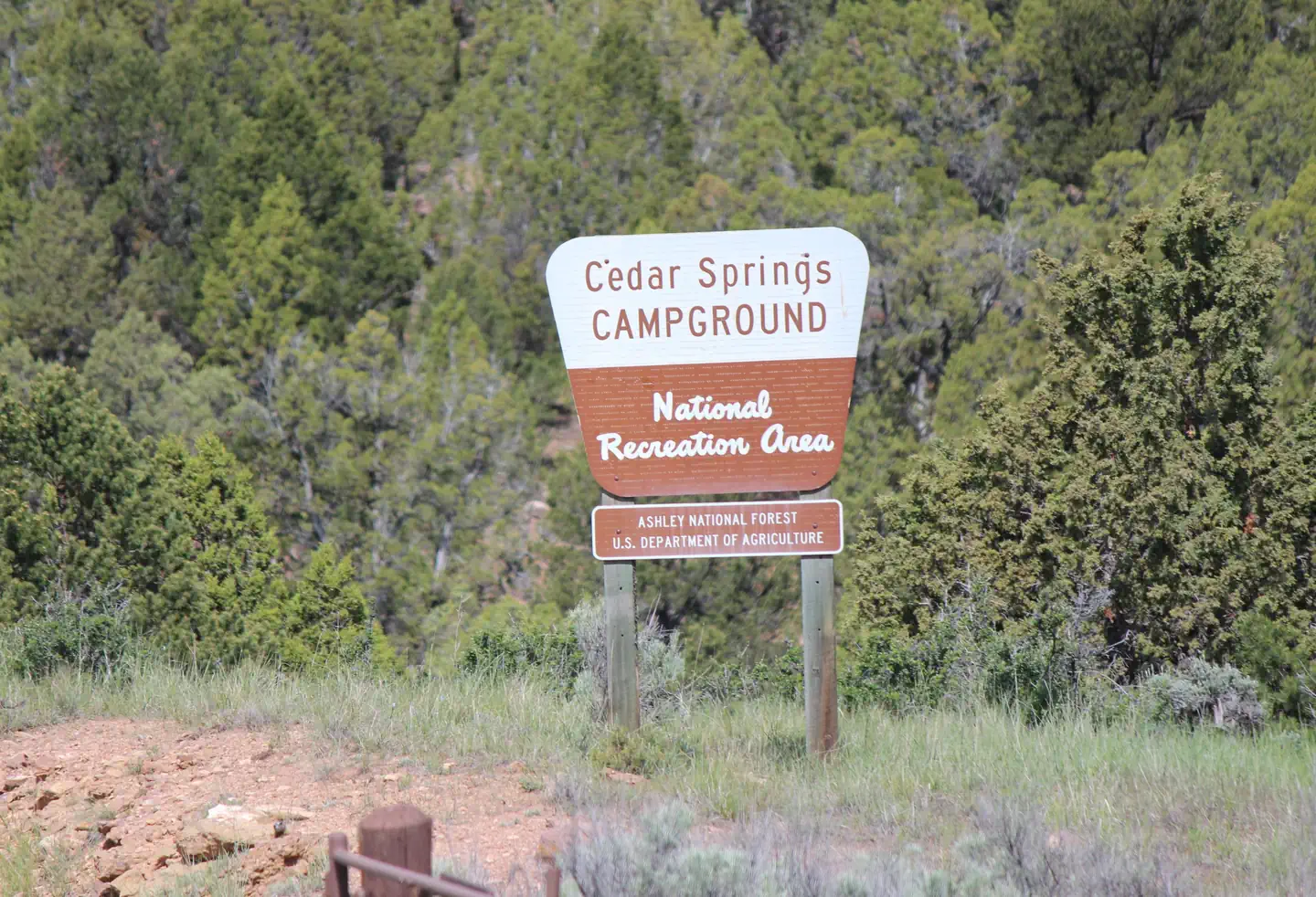 CEDAR SPRINGS CAMPGROUND photo 3