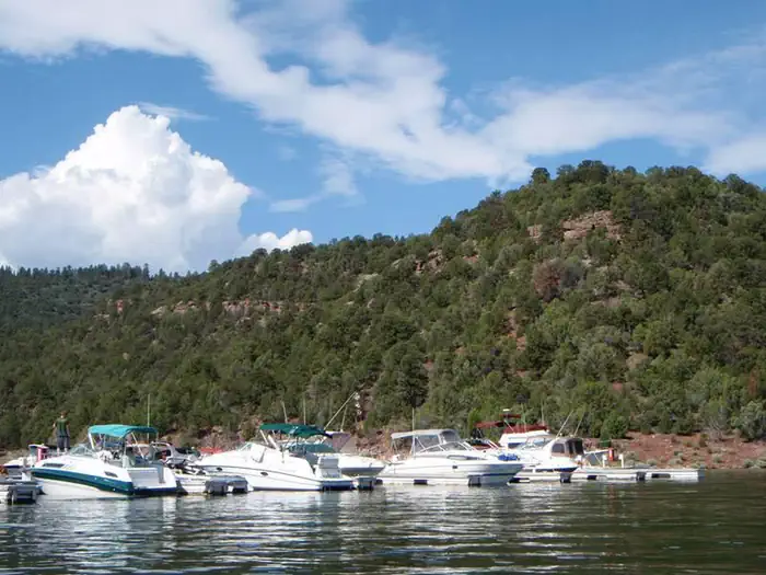CEDAR SPRINGS CAMPGROUND photo 4