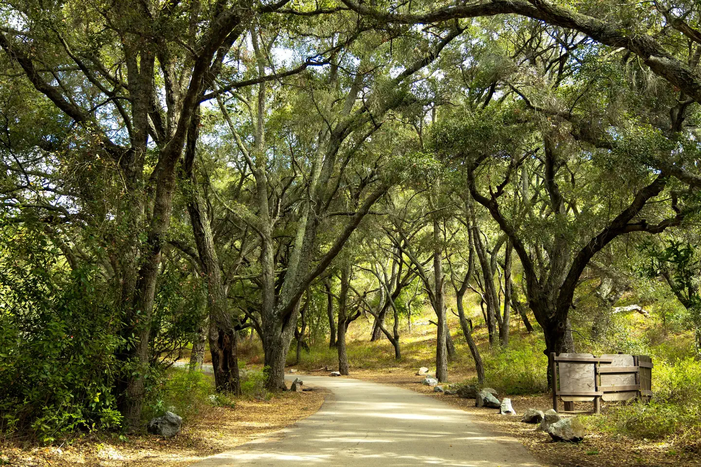 CERRO ALTO CAMPGROUND photo
