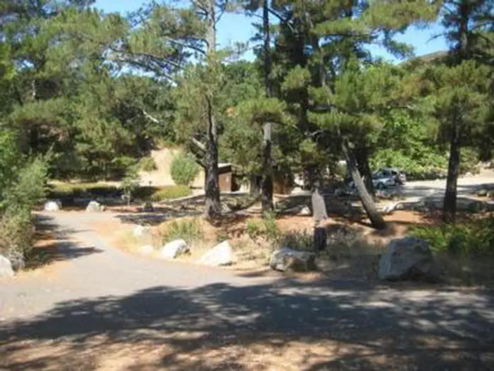 CERRO ALTO CAMPGROUND photo 4