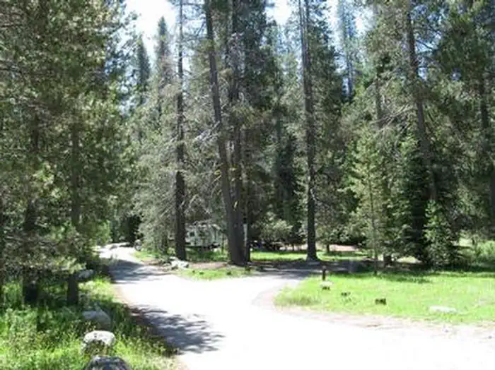 CHAPMAN photo 5