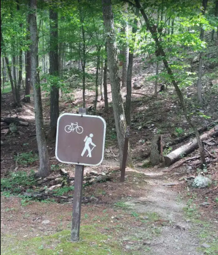 Charlton Recreation Area photo 4