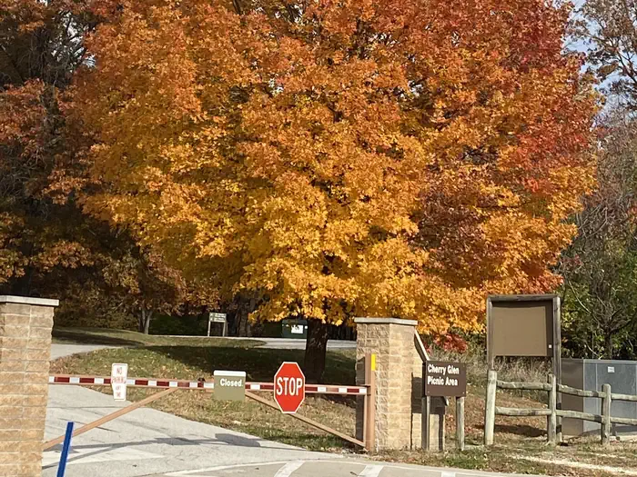 CHERRY GLEN CAMPGROUND photo 3
