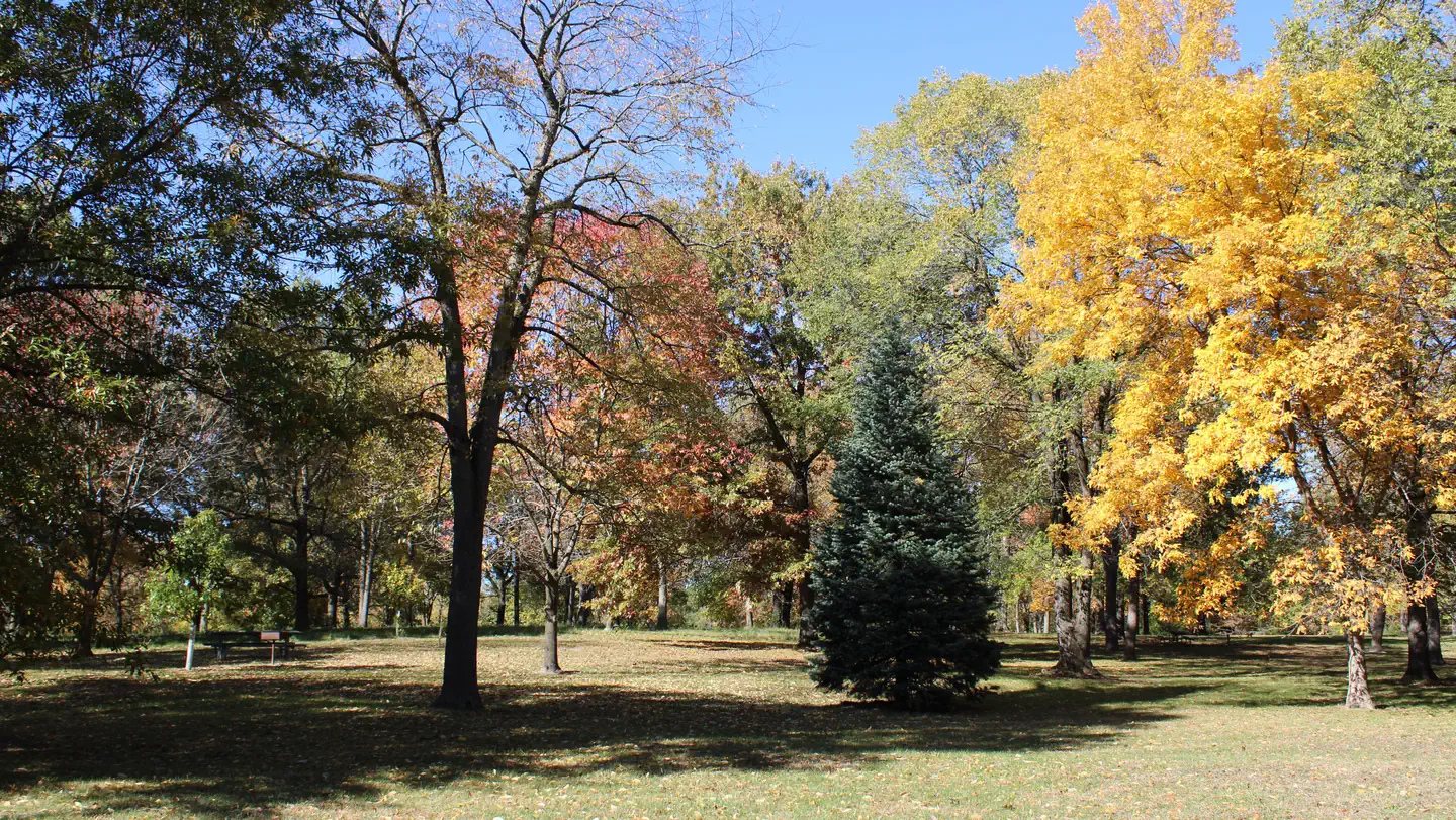 CHERRY GLEN PICNIC photo