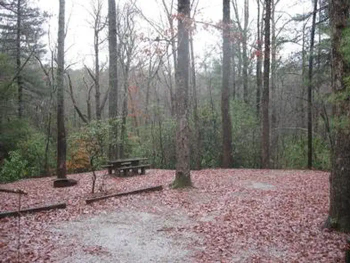 CHERRY HILL CAMPGROUND photo 3