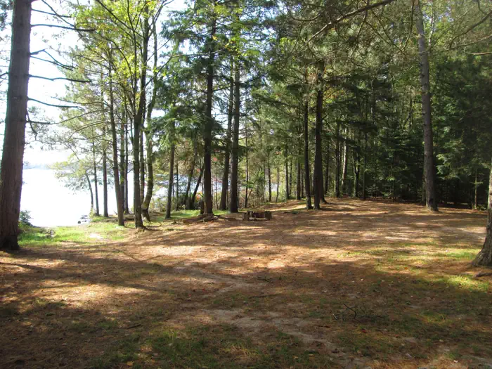 Chicago Lake Campsites photo 5