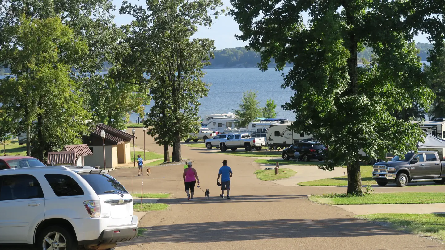 CHICKASAW HILL photo