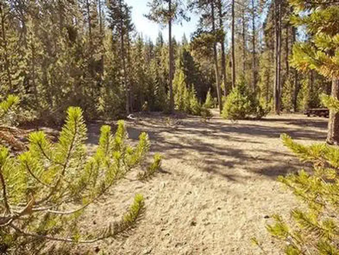 Chief Paulina Horse Camp photo 2