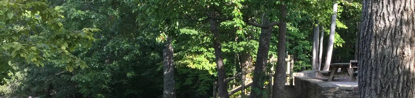 CHILHOWEE CAMPGROUND photo