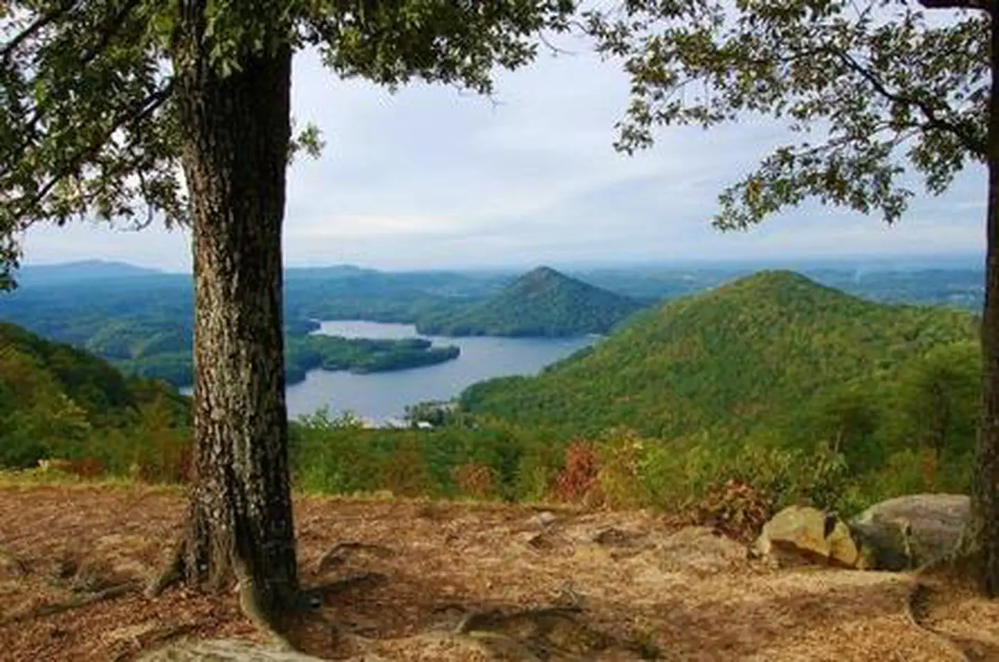 CHILHOWEE CAMPGROUND photo 5