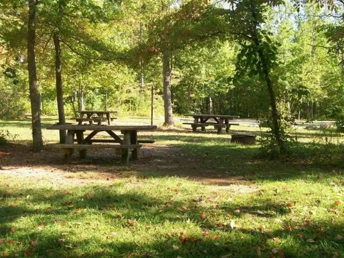 CHILHOWEE GROUP CAMP photo 3