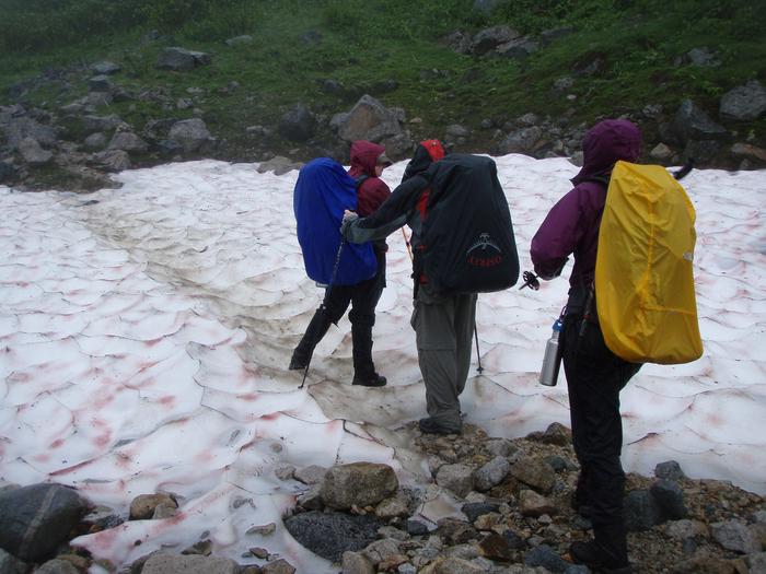 Chilkoot Trail Camping Permits photo 4