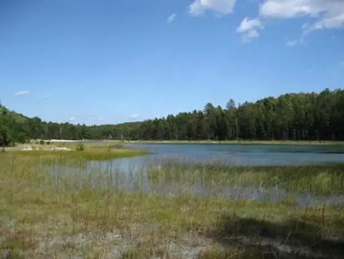 CHIMNEY LOOP CAMPGROUND photo 3
