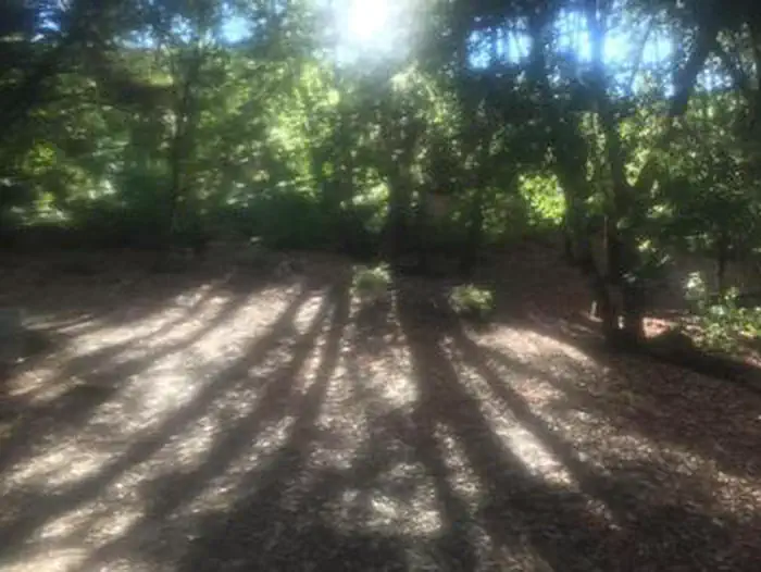 CHINA CAMP CAMPGROUND photo 4