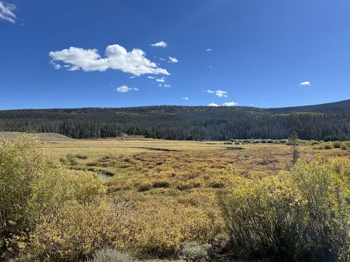 China Meadows Campground photo