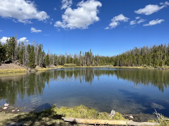 China Meadows Campground photo 2