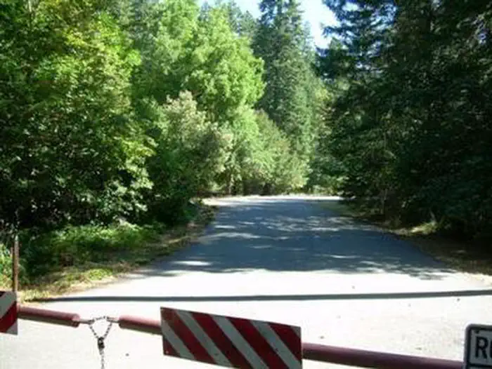 CHINQUAPIN GROUP CAMPGROUND photo 3