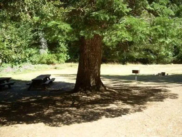 CHINQUAPIN GROUP CAMPGROUND photo 5