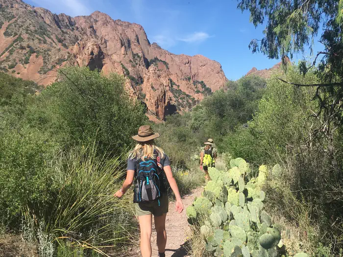 Chisos Basin Campground (Big Bend, TX) photo 2