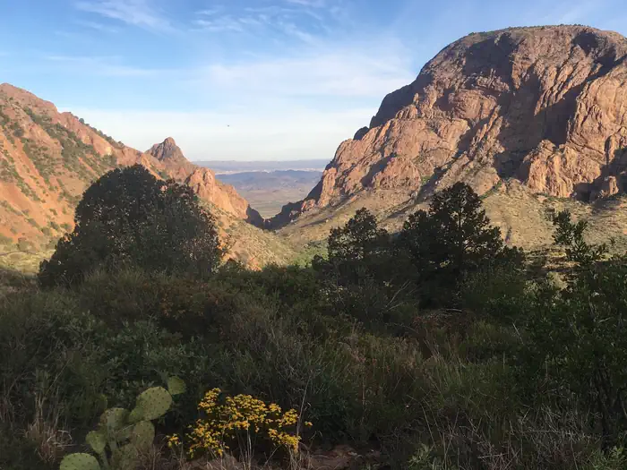 Chisos Basin Campground (Big Bend, TX) photo 5