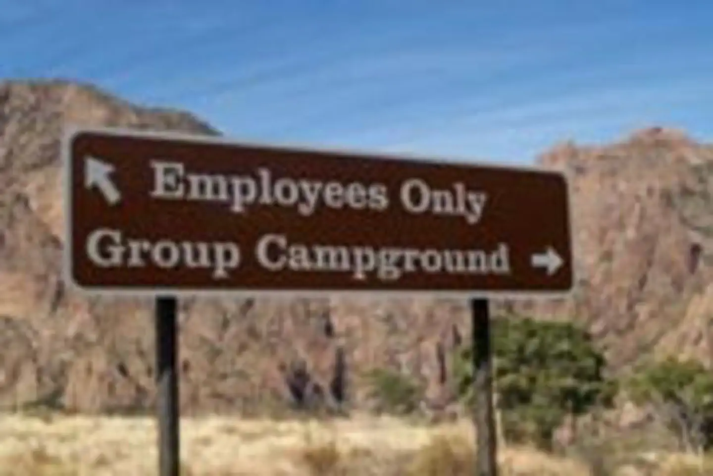 Chisos Basin Group Campground (Big Bend, TX) photo 4