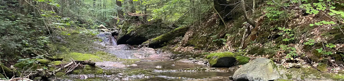 CHITTENDEN BROOK CAMPGROUND photo