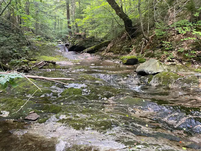 CHITTENDEN BROOK CAMPGROUND photo 3