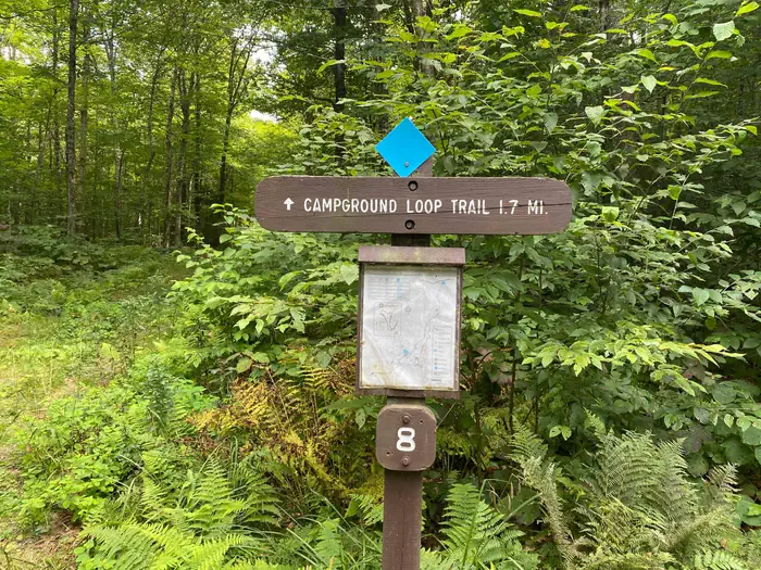 CHITTENDEN BROOK CAMPGROUND photo 4
