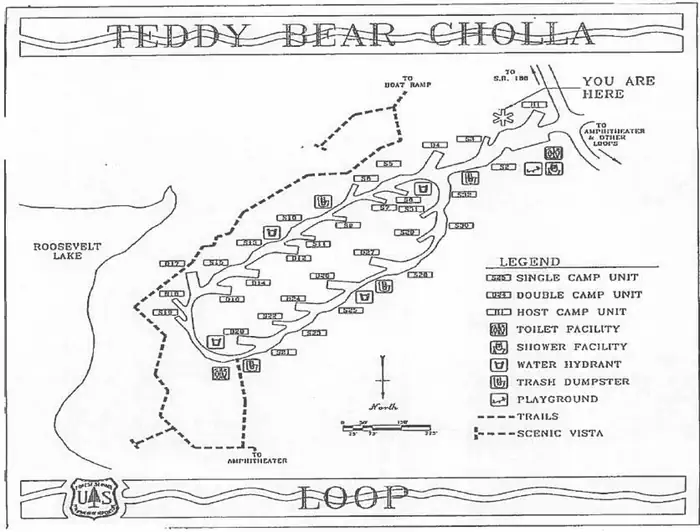 Cholla Campground photo 2