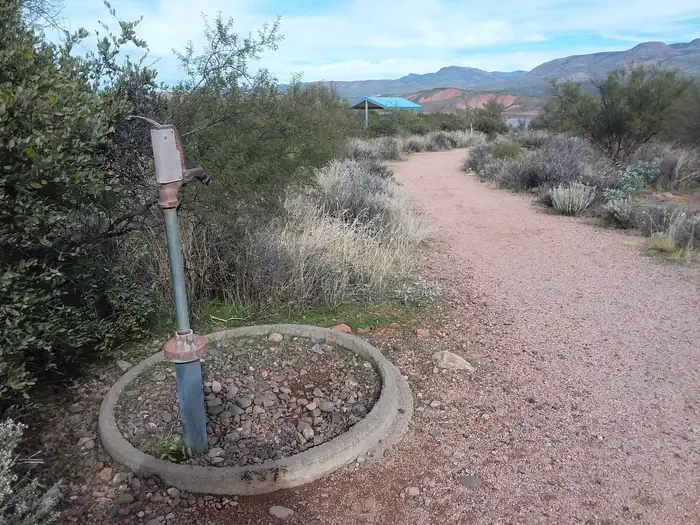 Cholla Campground photo 3