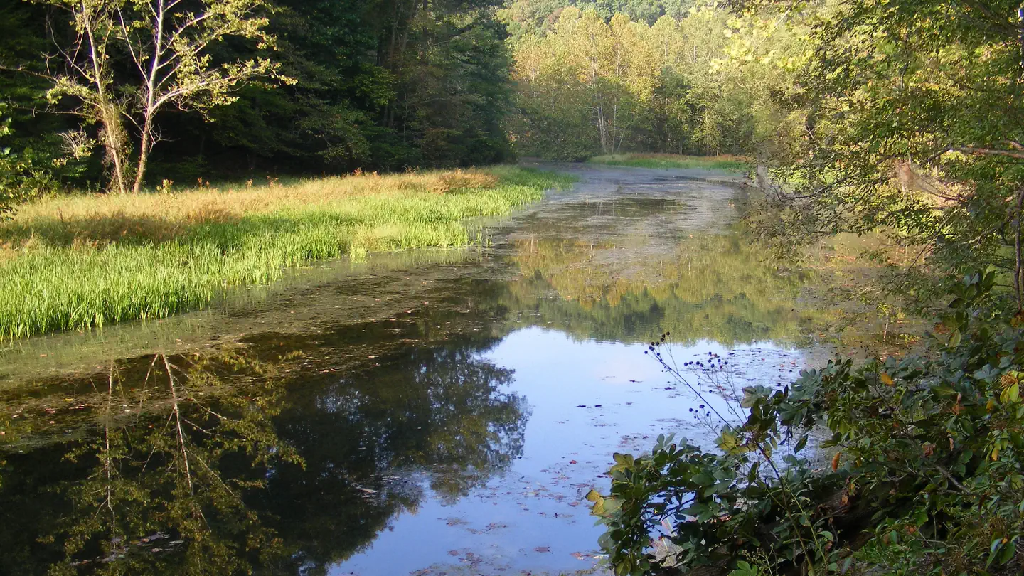 Chopawamsic Backcountry Camping Permits photo