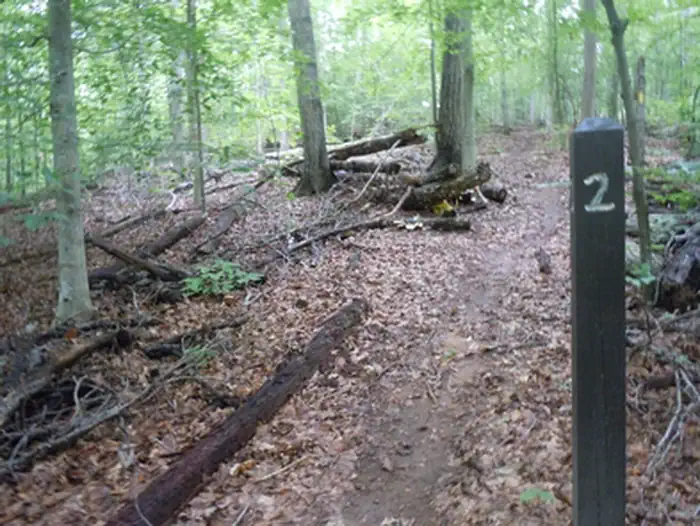 Chopawamsic Backcountry Camping Permits photo 2