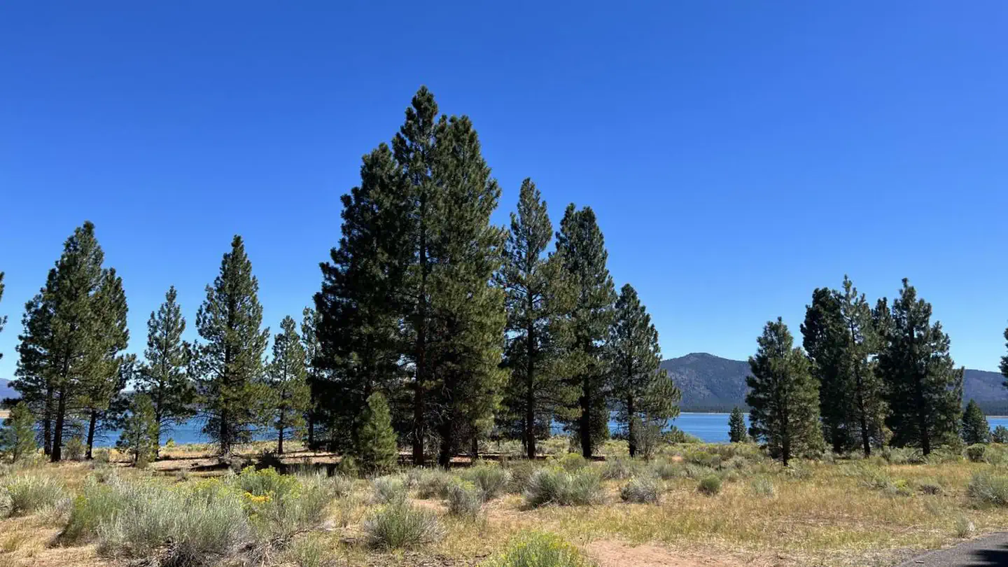 CHRISTIE CAMPGROUND photo