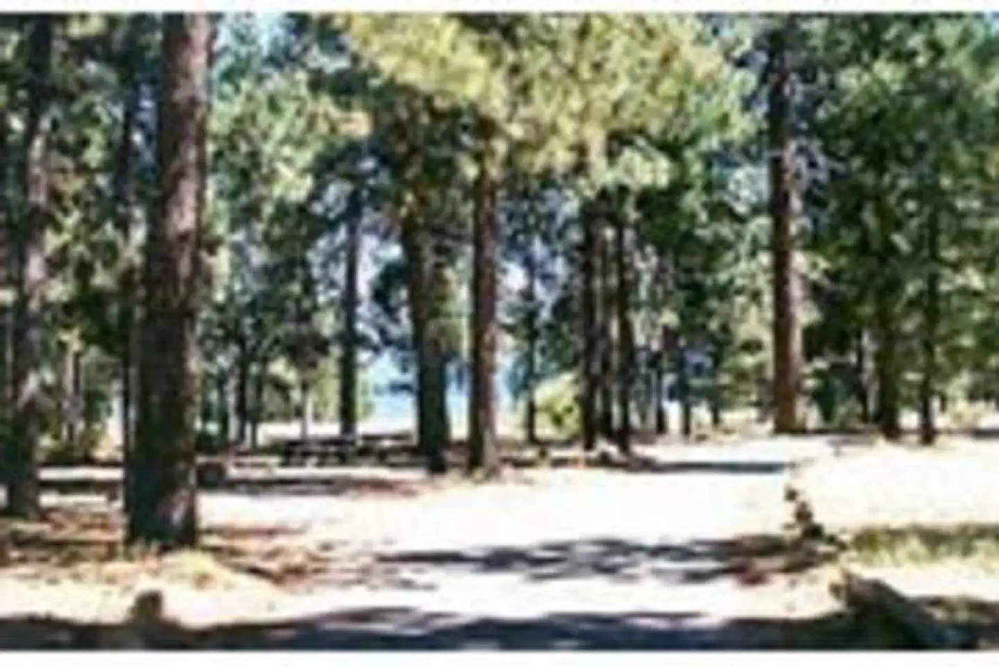CHRISTIE CAMPGROUND photo 2