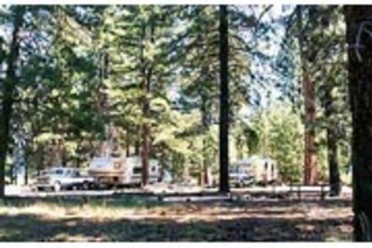CHRISTIE CAMPGROUND photo 3