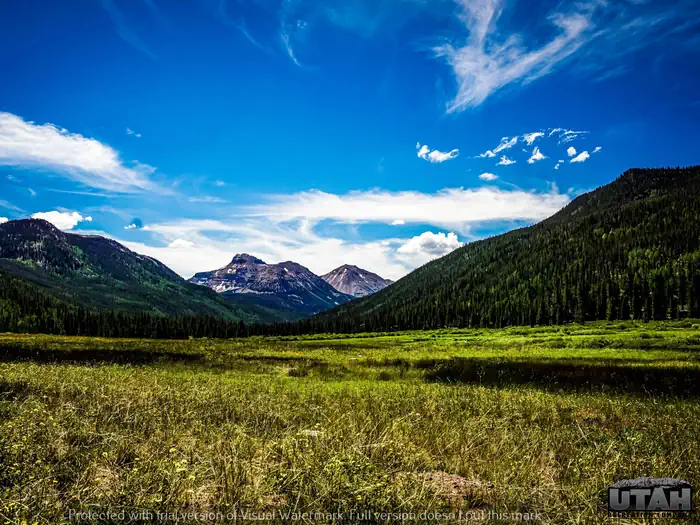 CHRISTMAS MEADOWS CAMPGROUND photo 4