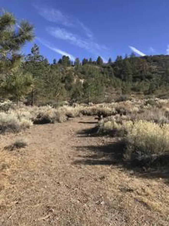 CHUCHUPATE CAMPGROUND photo 2