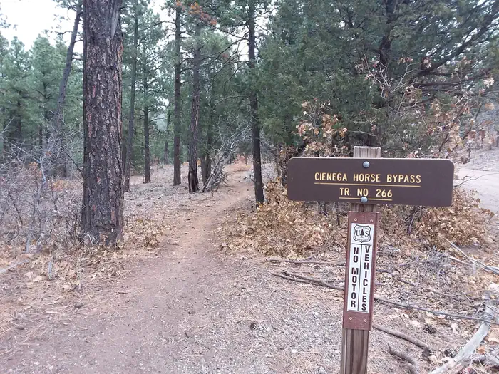 CIENEGA PICNIC SITE photo 3