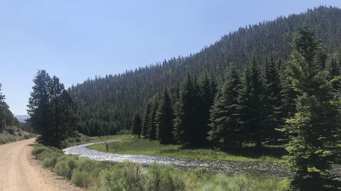 CIMARRON CAMPGROUND photo
