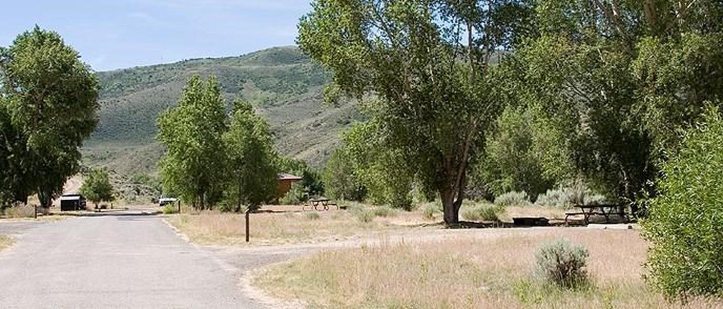 Cimarron Campground (CO) photo