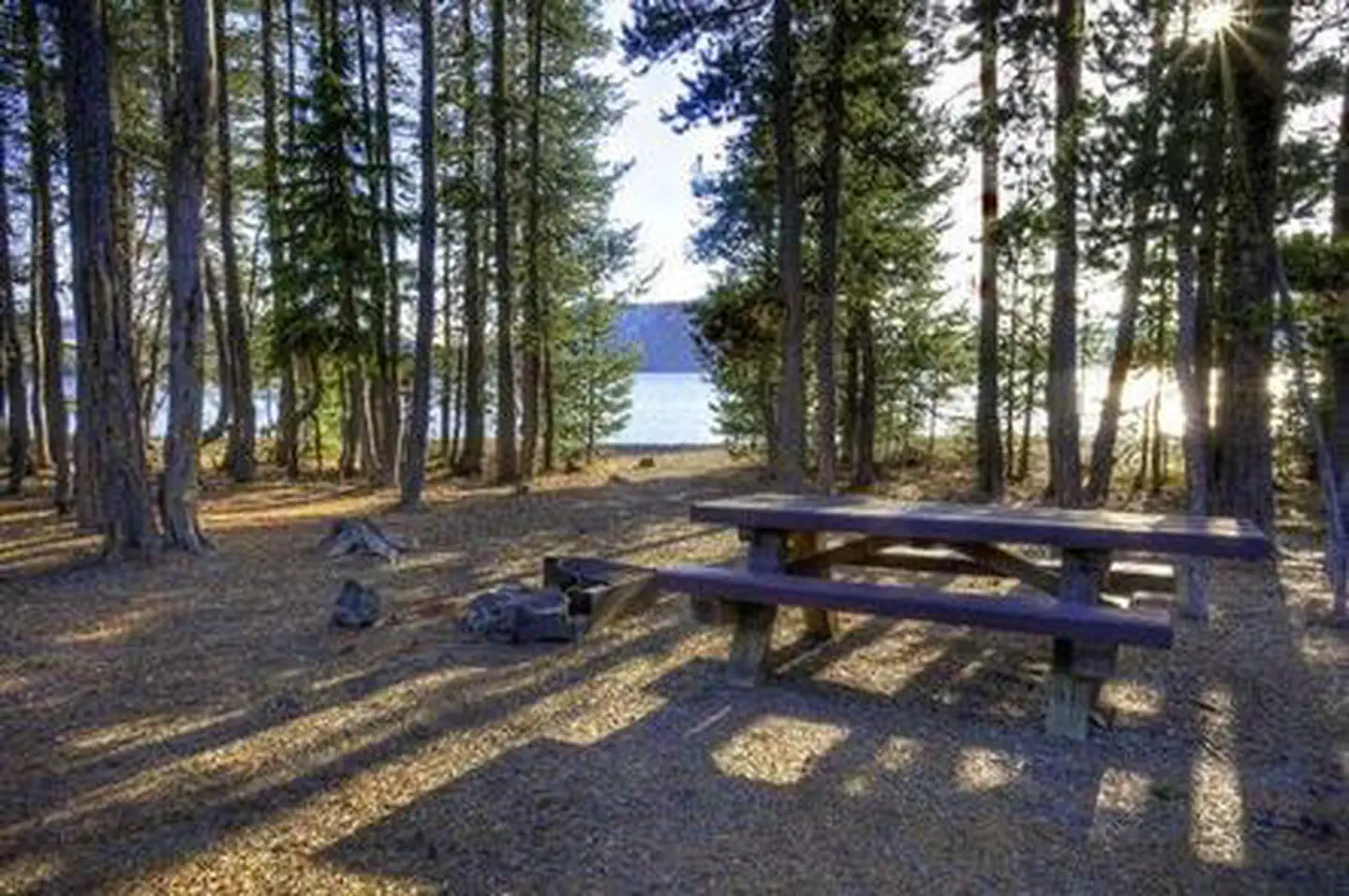 Cinder Hill Campground photo 3