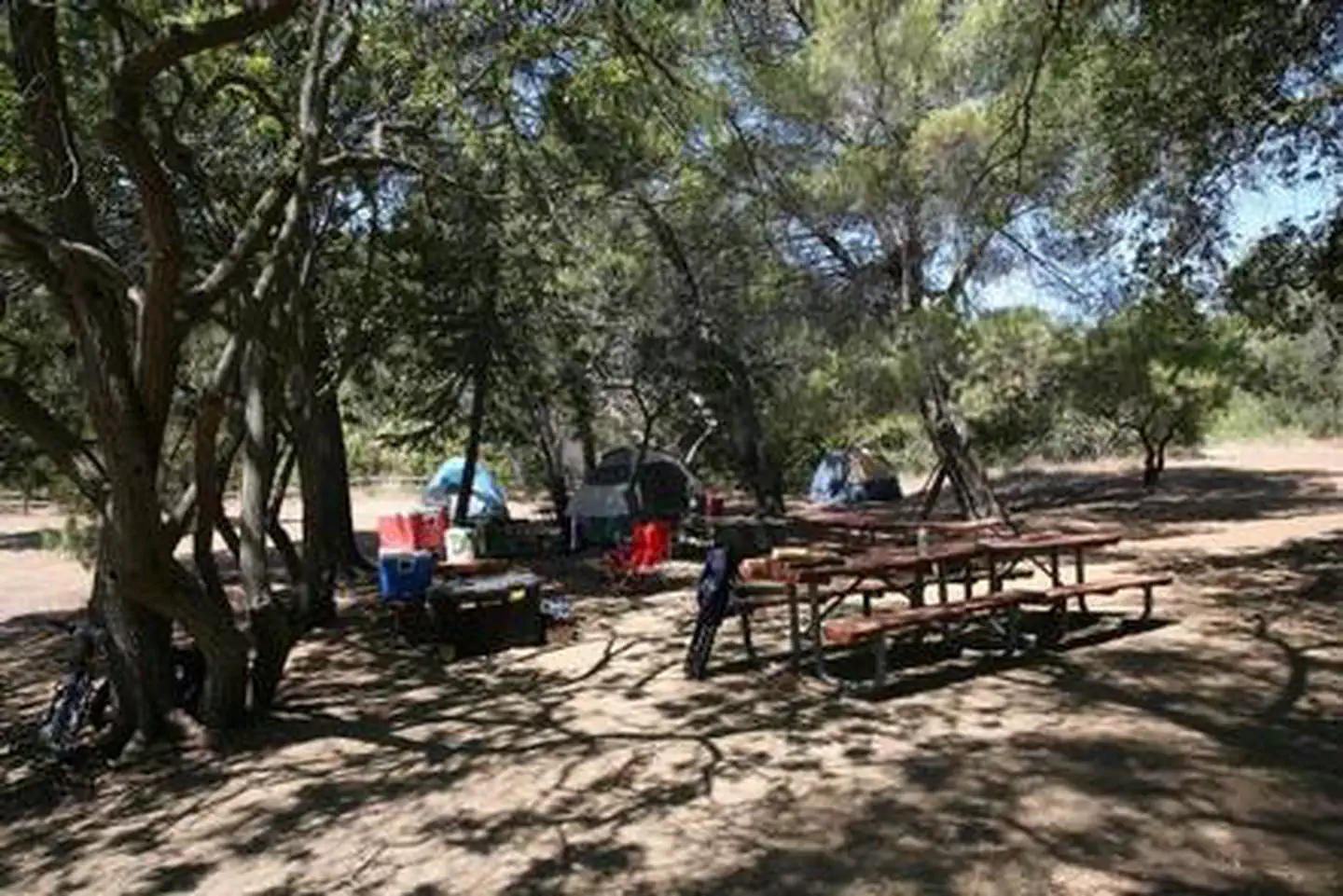CIRCLE X RANCH GROUP CAMPGROUND photo 2