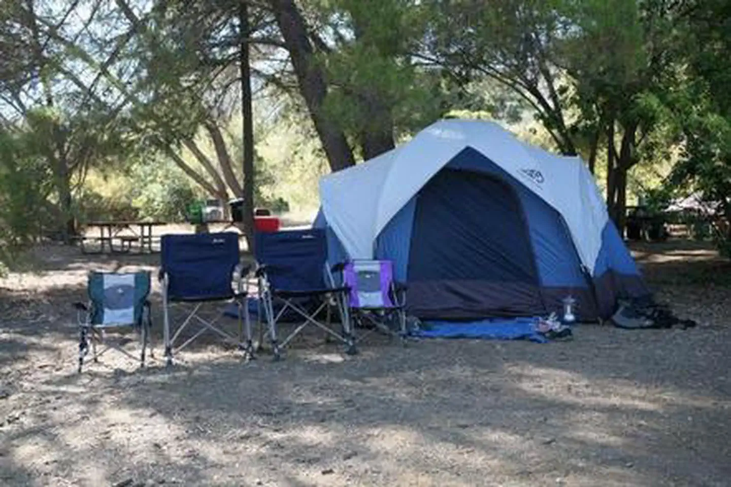 CIRCLE X RANCH GROUP CAMPGROUND photo 5