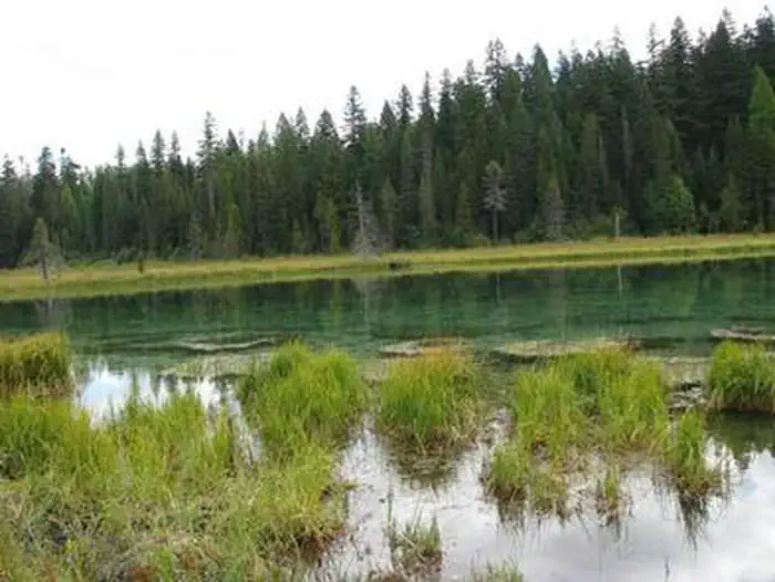 CLACKAMAS LAKE photo 4