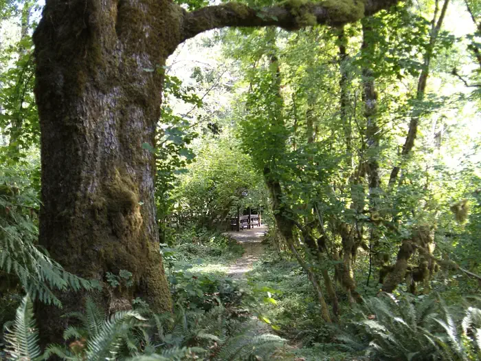 Clay Creek Recreation Site photo 2