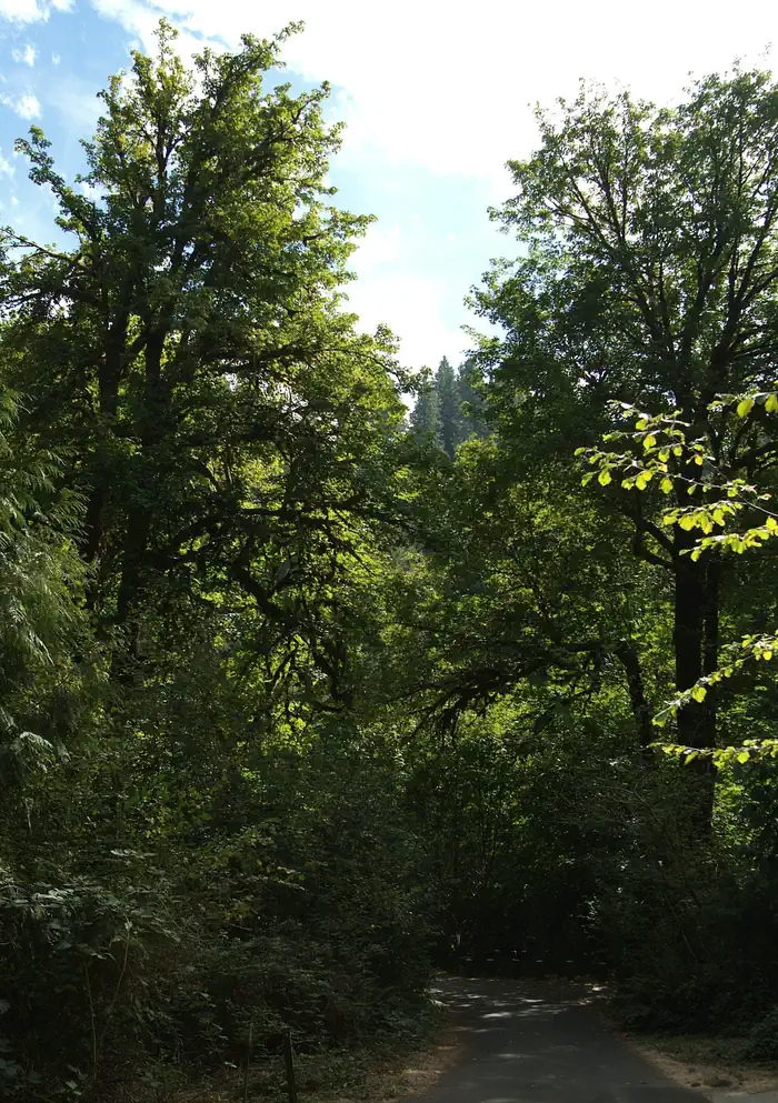 Clay Creek Recreation Site photo 5
