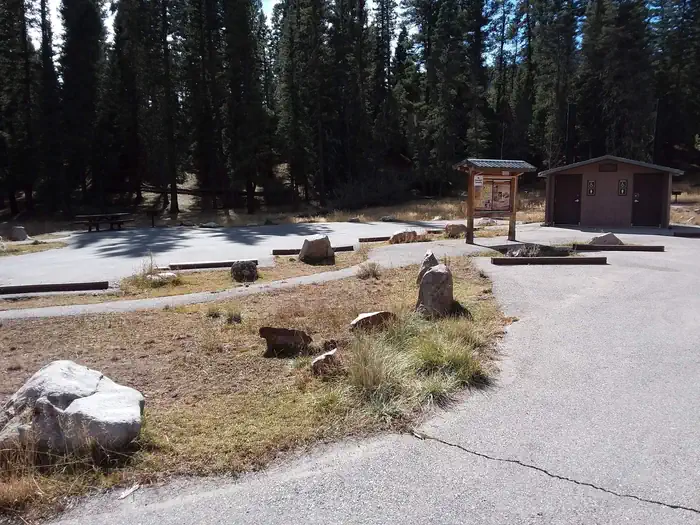 CLEAR CREEK CAMPGROUND (NM) photo 2