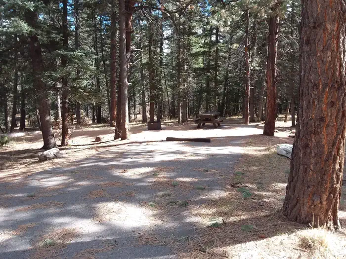 CLEAR CREEK CAMPGROUND (NM) photo 3