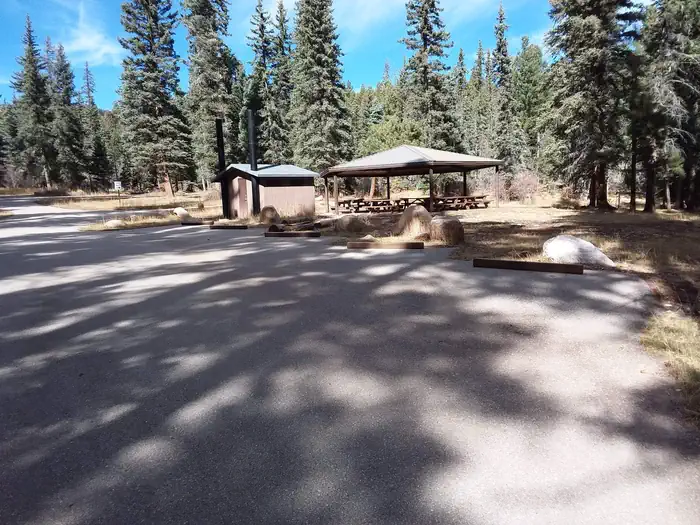 CLEAR CREEK CAMPGROUND (NM) photo 5